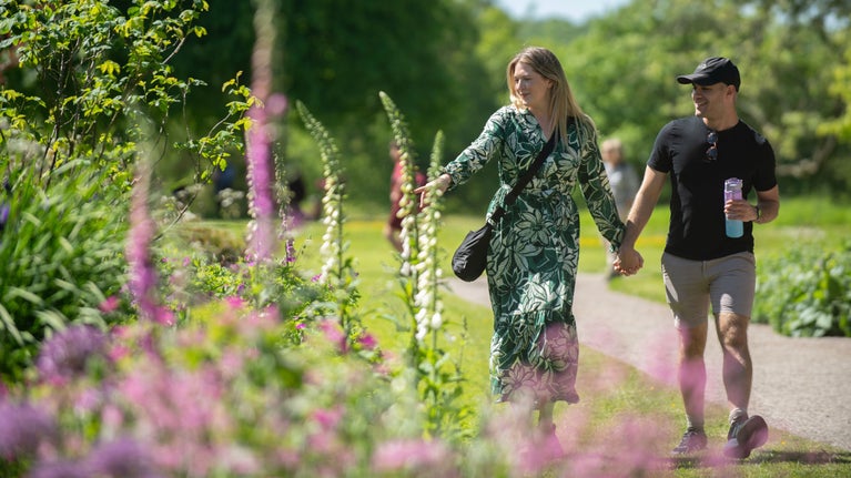 A couple hold hands and smile as they walk along the Long Border at Saltram and enjoy the floral display
